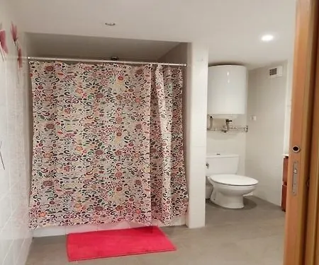 Pont De Ferro Apartament Apartment Girona